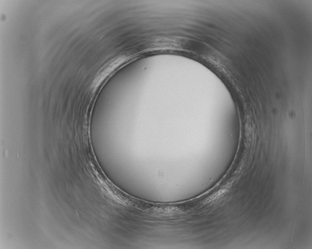 X0000053071129200508011933