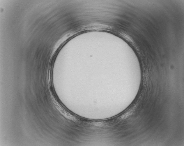 X0000053071130200508011933