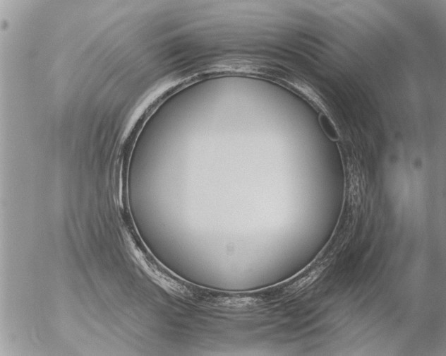 X0000053071131200508011933