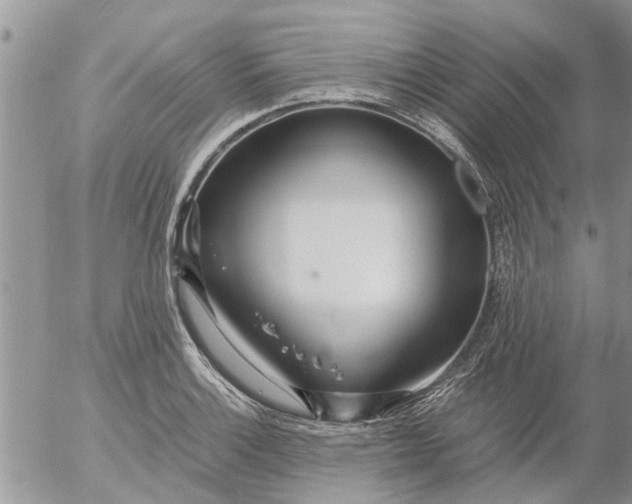 X0000053071132200508011933