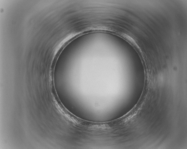 X0000053071133200508011933