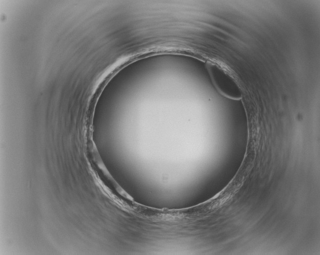 X0000053071134200508011933