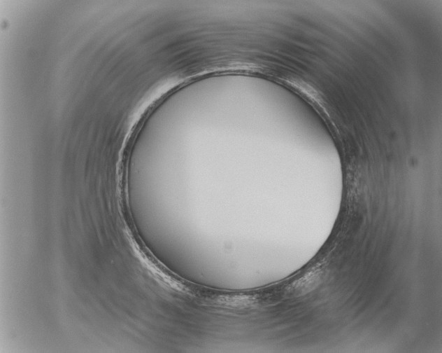 X0000053071135200508011933