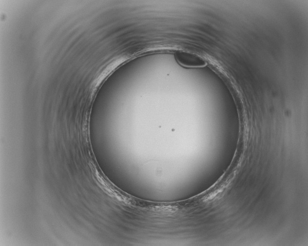 X0000053071137200508011933