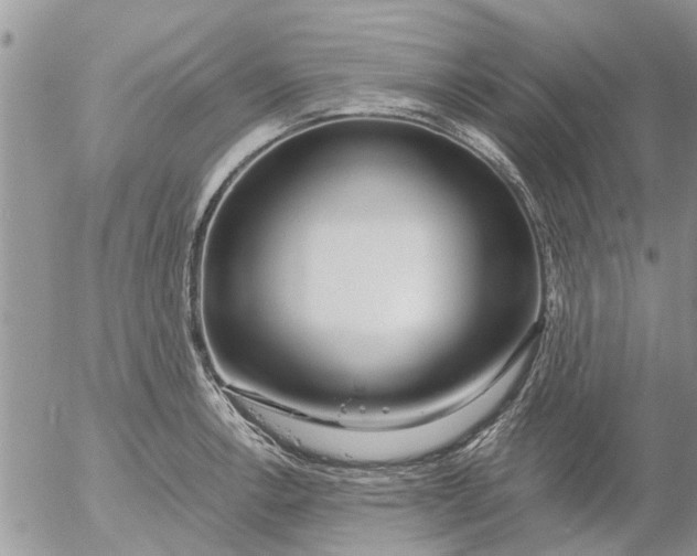 X0000053071138200508011933