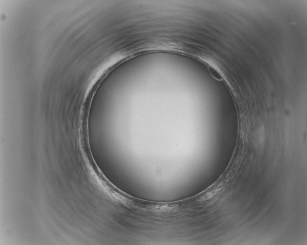 X0000053071139200508011933