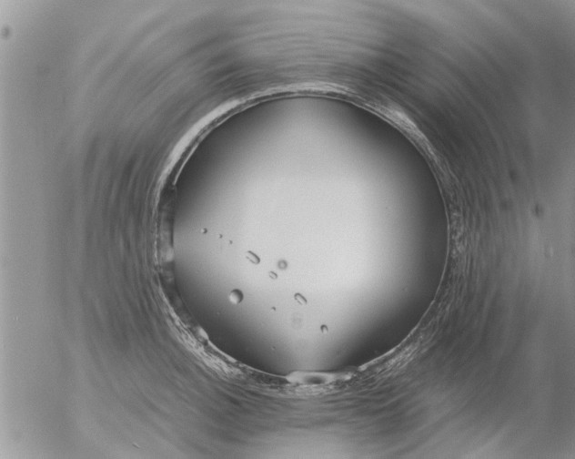 X0000053071140200508011933