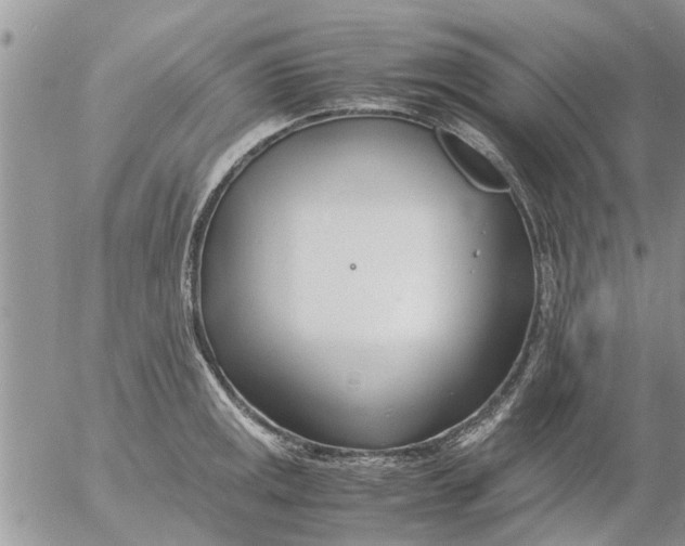 X0000053071141200508011933