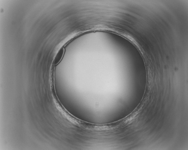 X0000053071142200508011933