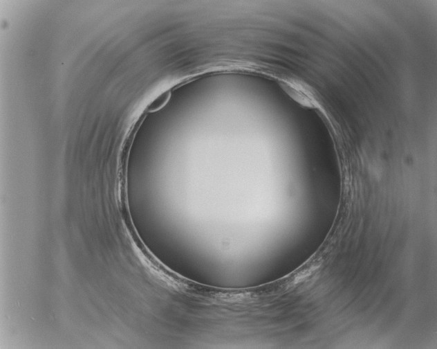 X0000053071143200508011933