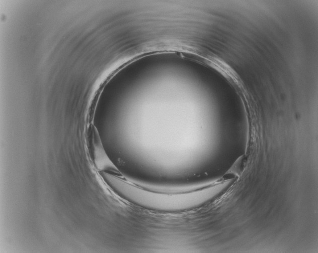 X0000053071144200508011933