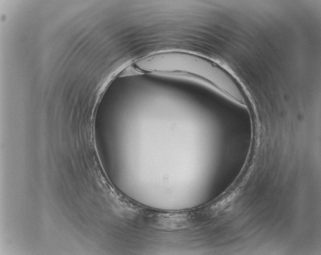 X0000053071145200508011933