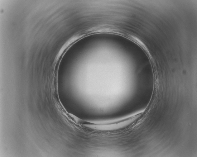 X0000053071146200508011933