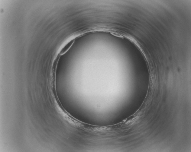 X0000053071147200508011933