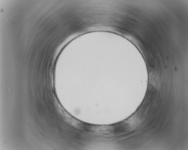 X0000053071150200508011933