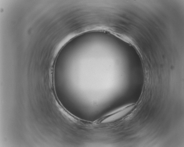 X0000053071151200508011933