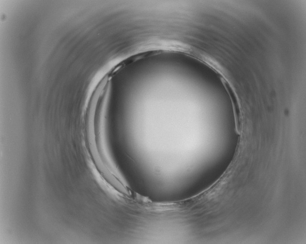 X0000053071152200508011933