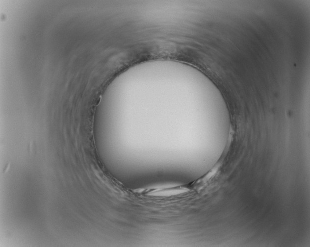 X0000053071153200508011933