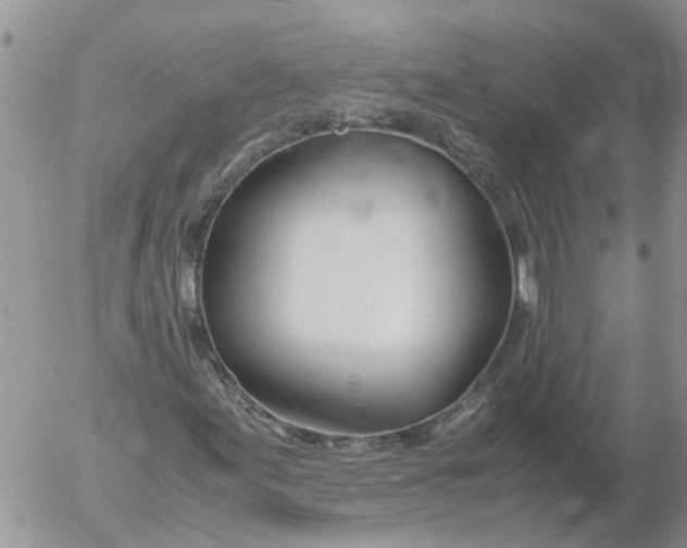 X0000053071155200508011932