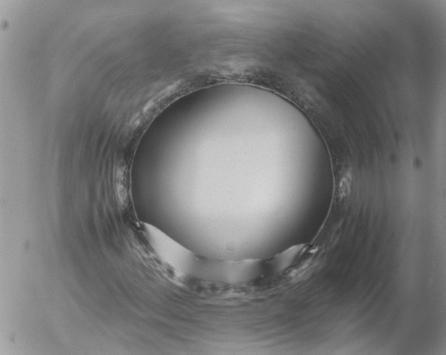 X0000053071156200508011932