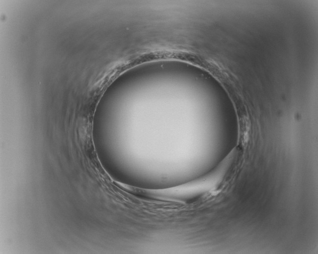 X0000053071157200508011932