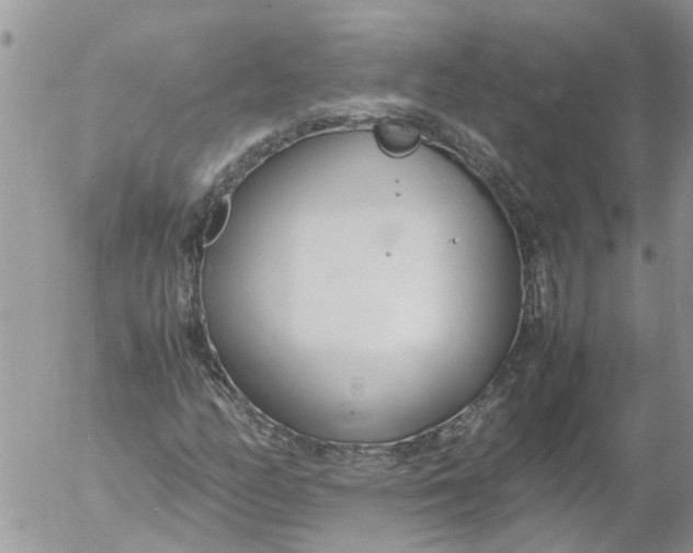 X0000053071158200508011932