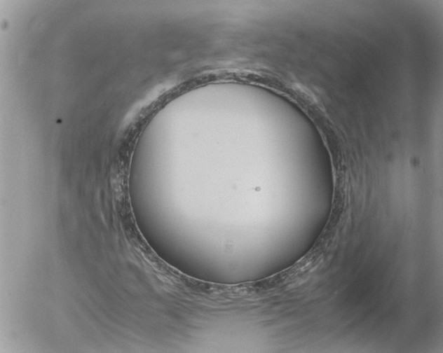 X0000053071159200508011932