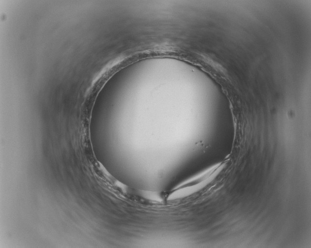 X0000053071160200508011932