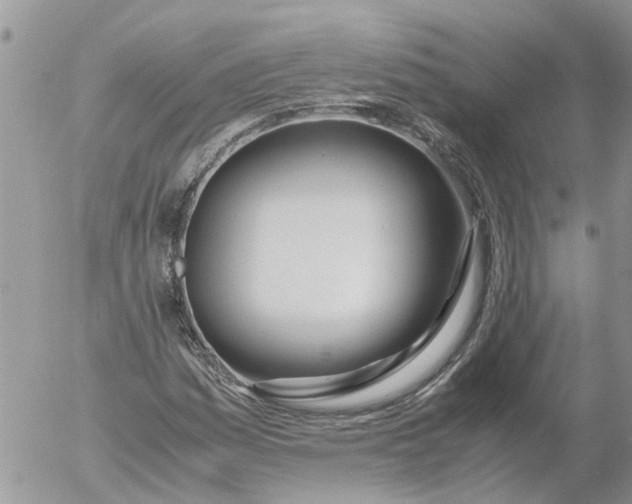 X0000053071161200508011932