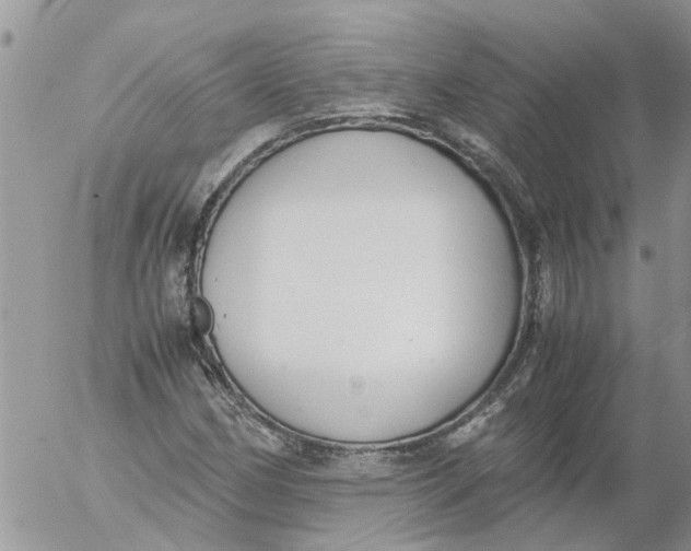 X0000053071162200508011932