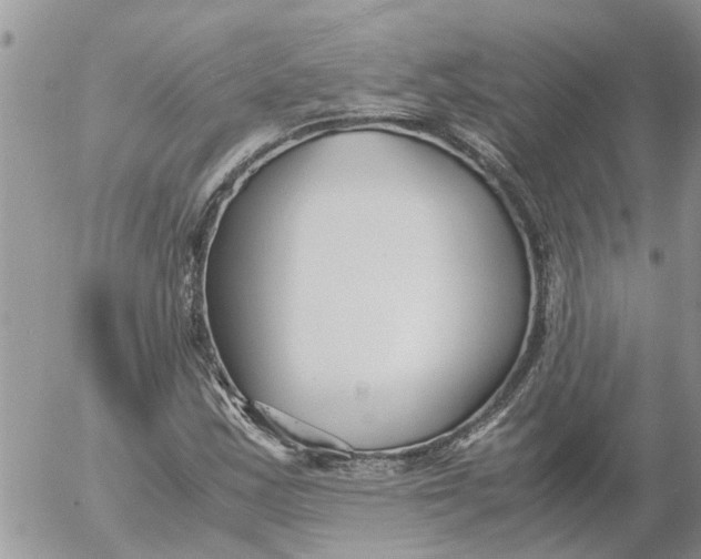 X0000053071163200508011932