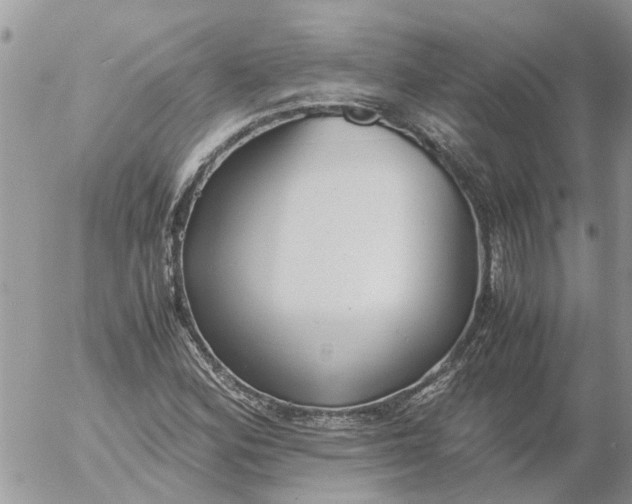 X0000053071164200508011932