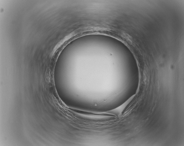 X0000053071165200508011932