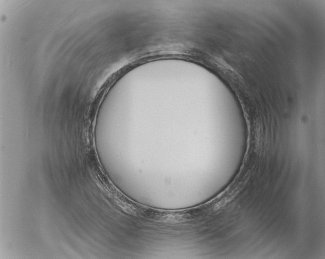 X0000053071166200508011932