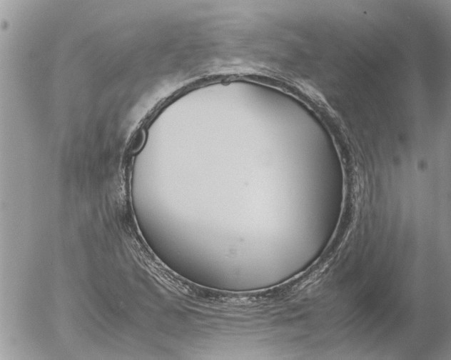 X0000053071167200508011932