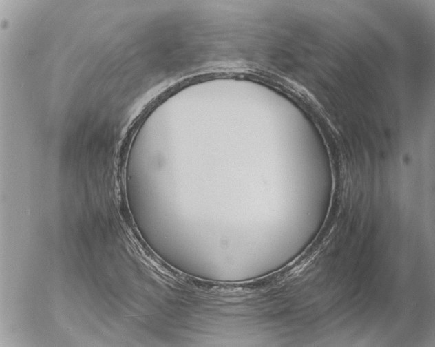 X0000053071168200508011932