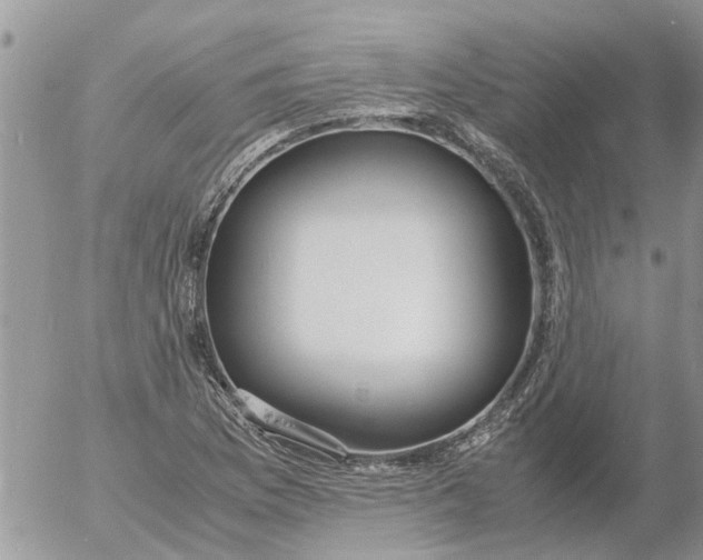 X0000053071169200508011932