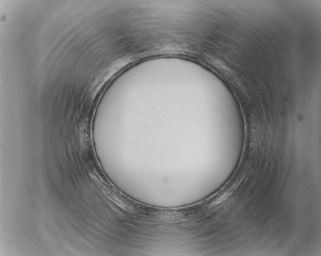 X0000053071170200508011932