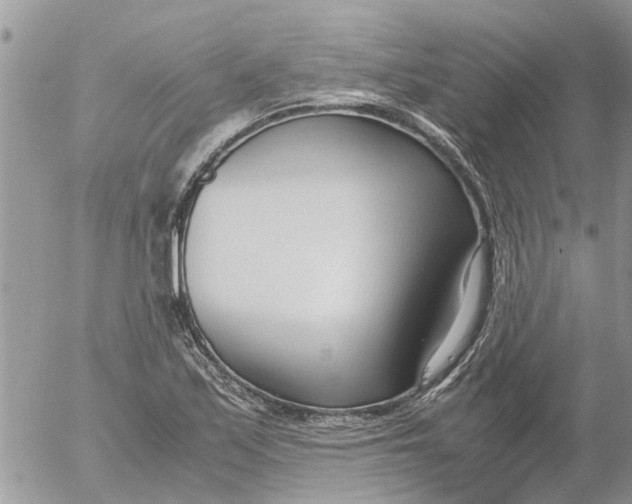 X0000053071171200508011932