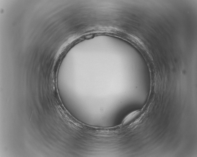 X0000053071172200508011932