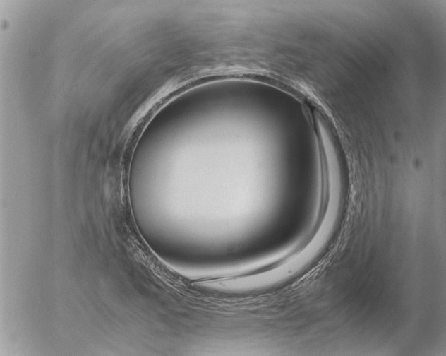 X0000053071173200508011932