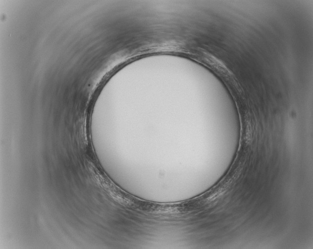 X0000053071174200508011932