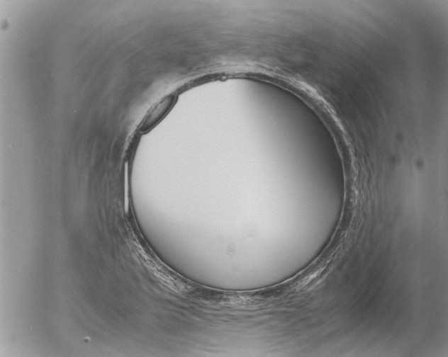 X0000053071175200508011932