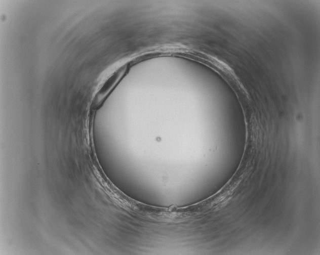 X0000053071176200508011932