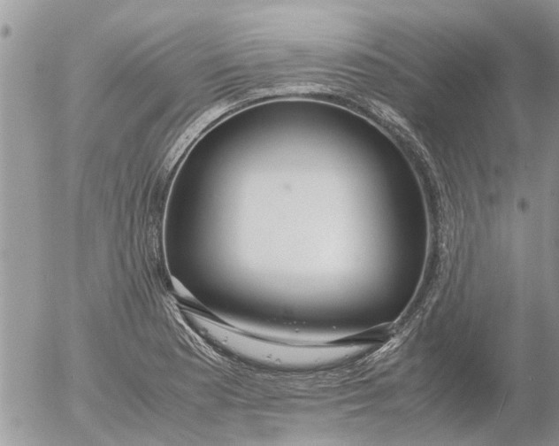 X0000053071177200508011932