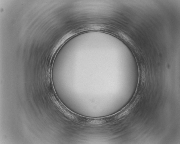 X0000053071178200508011932