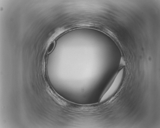 X0000053071179200508011932