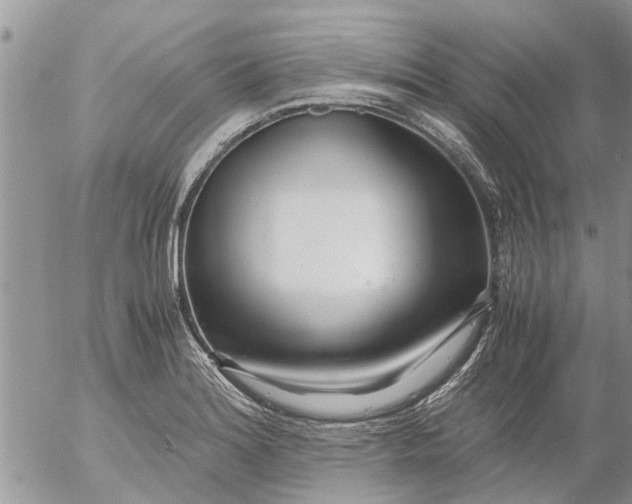 X0000053071180200508011932