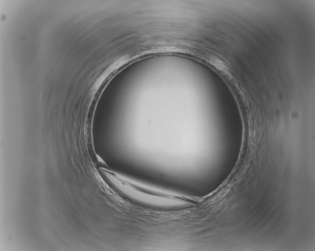 X0000053071181200508011932