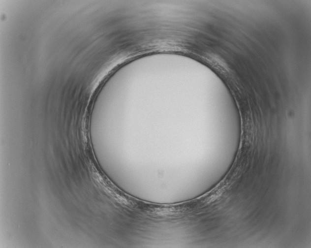 X0000053071182200508011932